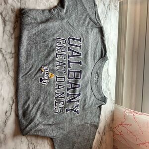 Bundle of SIX UAlbany T-Shirts, multiple brands and styles (all Medium)
